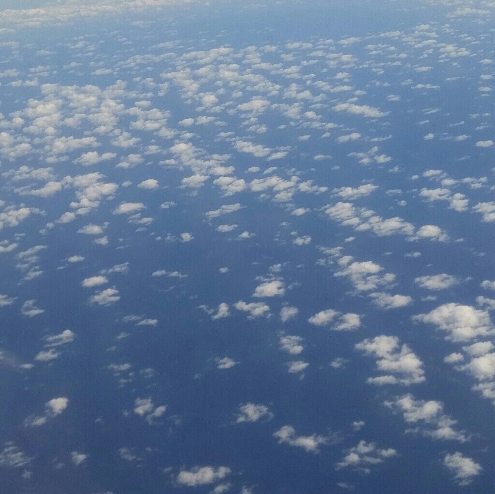 Meet your Posher, Yai